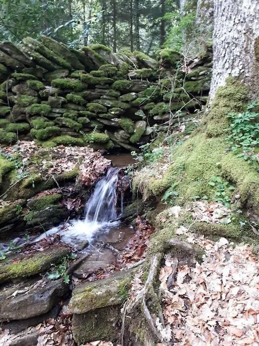 Petite Bergerie En Pierres Tout Confort Salles-Curan