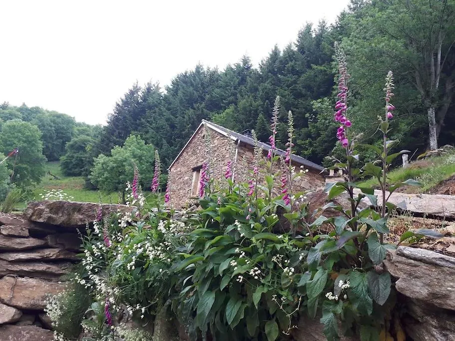 Prázdninový dům Petite Bergerie En Pierres Tout Confort Salles-Curan Francie