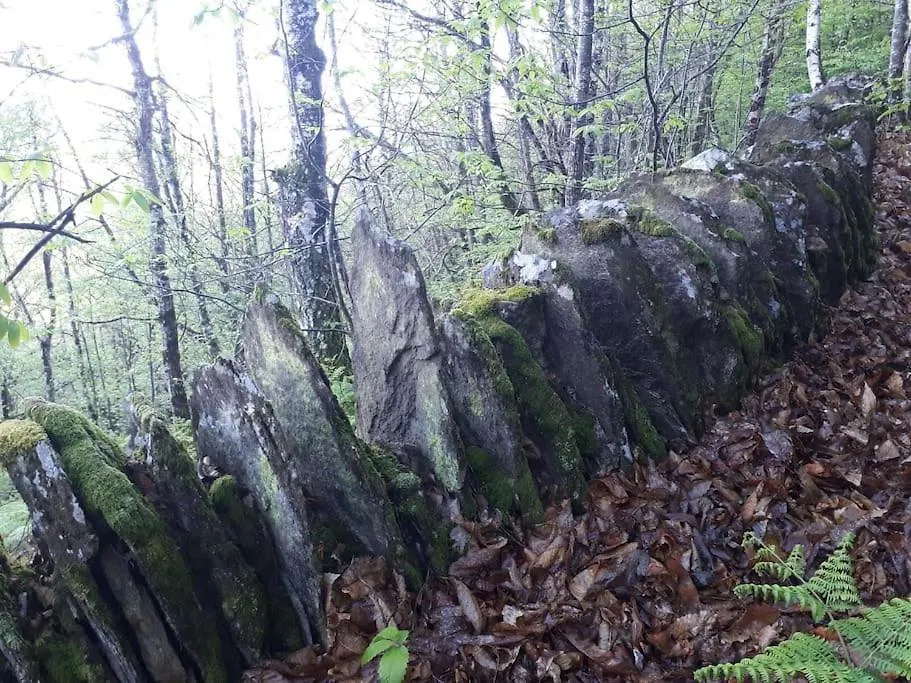 Petite Bergerie En Pierres Tout Confort Salles-Curan France