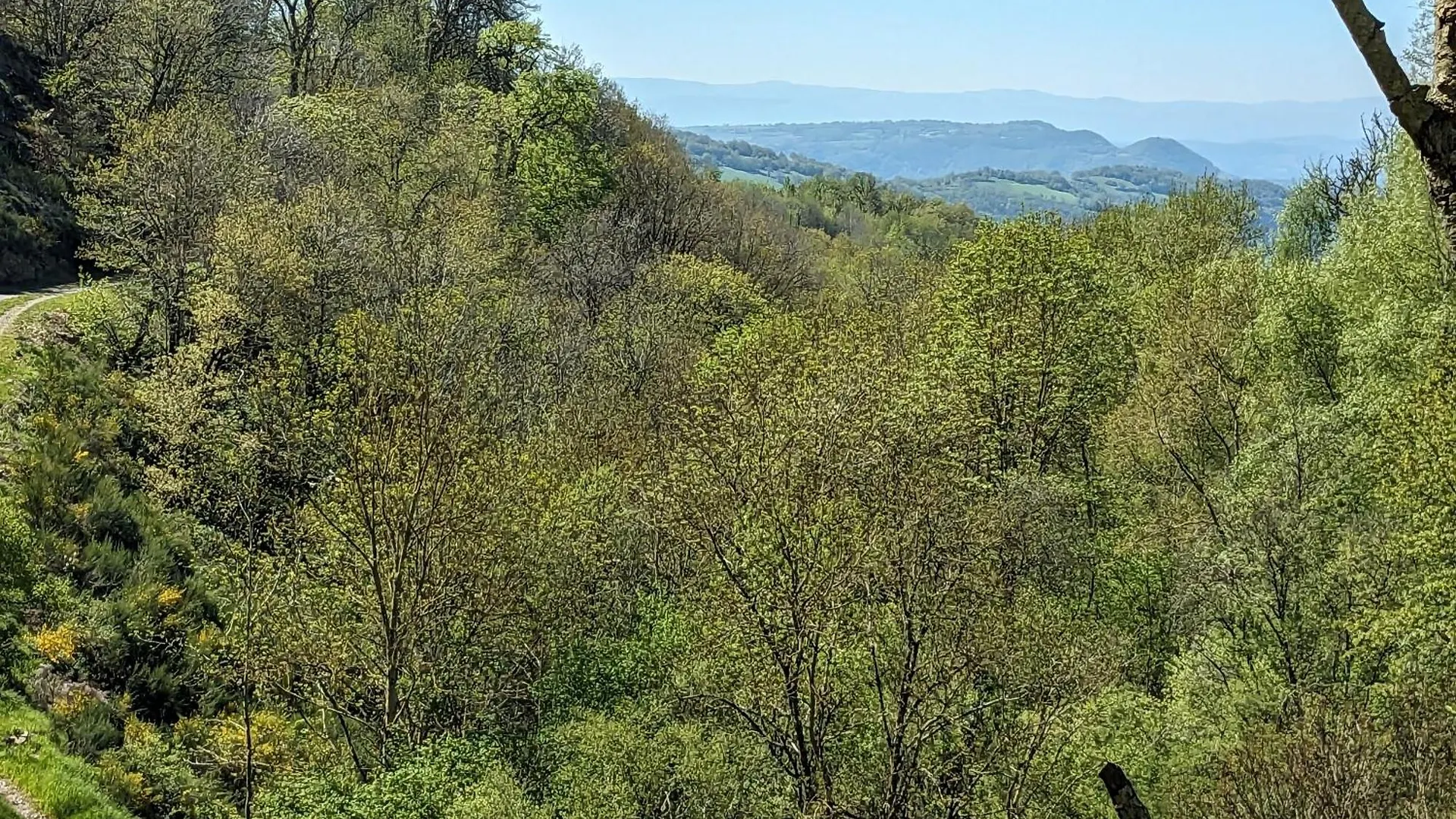 Petite Bergerie En Pierres Tout Confort location